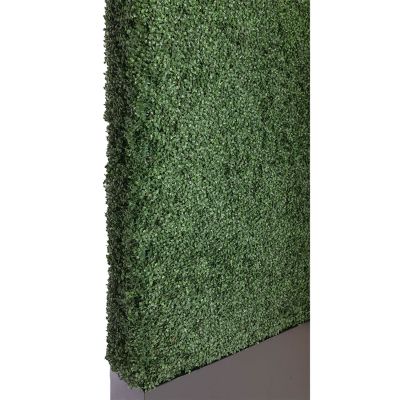 Image two of Alta Double Sided Boxwood Hedge